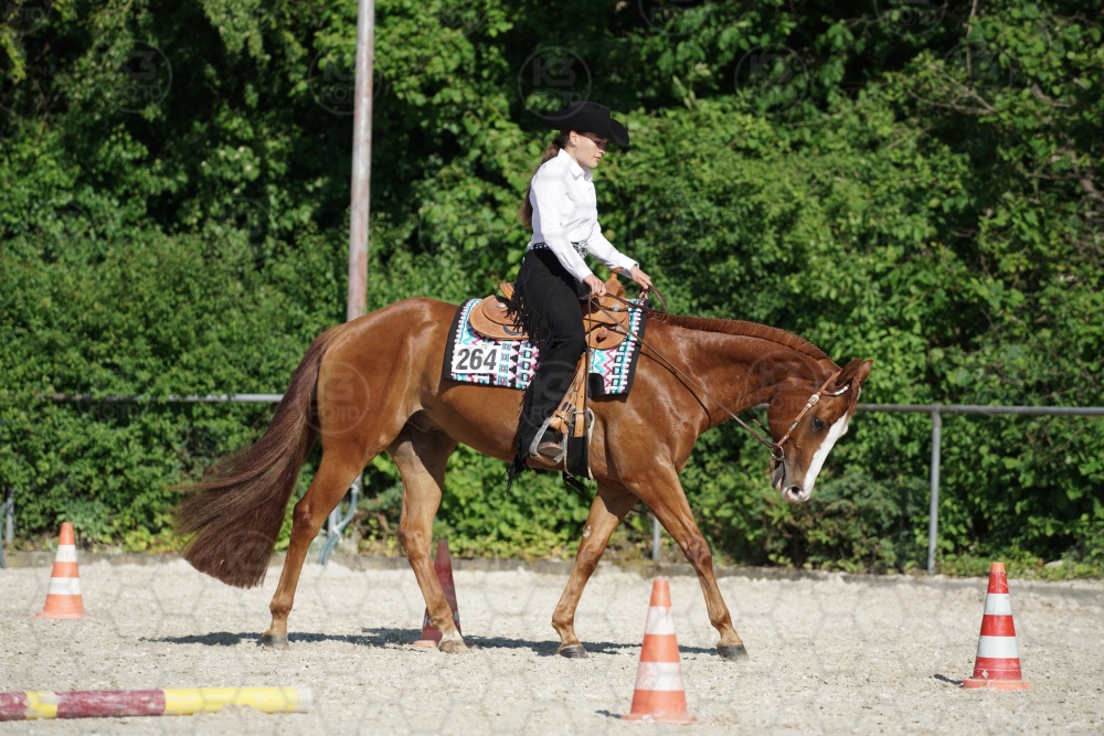 s_APF06854.jpg